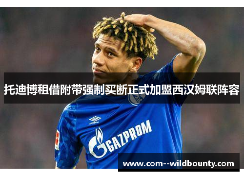 托迪博租借附带强制买断正式加盟西汉姆联阵容 托迪博租借附带强制买断正式加盟西汉姆联阵容