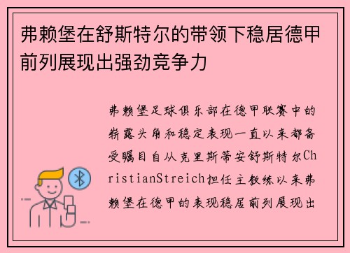 弗赖堡在舒斯特尔的带领下稳居德甲前列展现出强劲竞争力